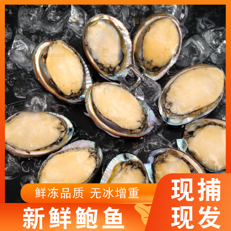 黑底上放着鲍鱼