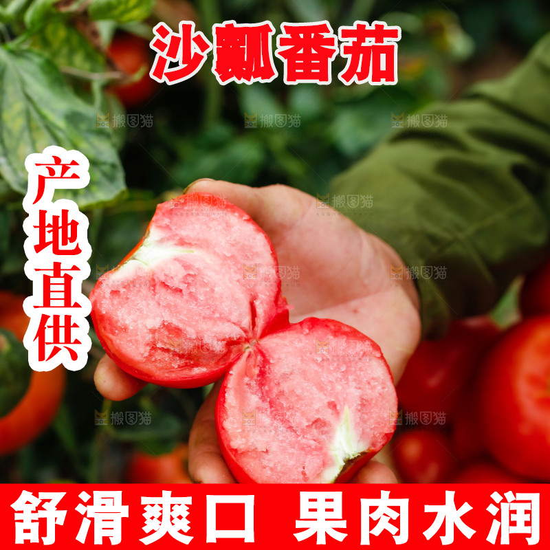 手上拿着沙瓤西红柿