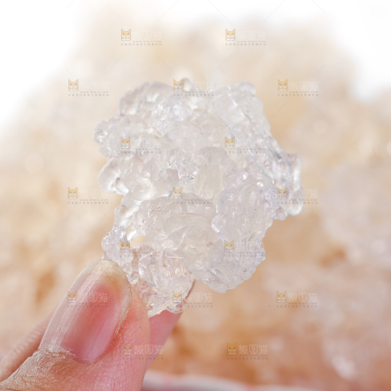 手上拿着雪燕