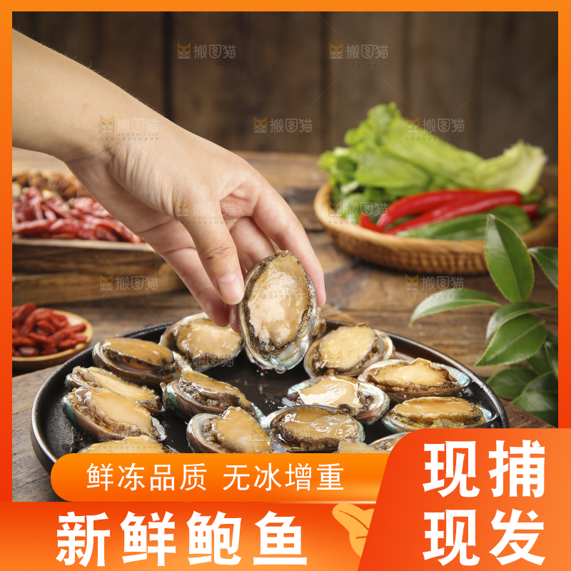 手上拿着鲍鱼