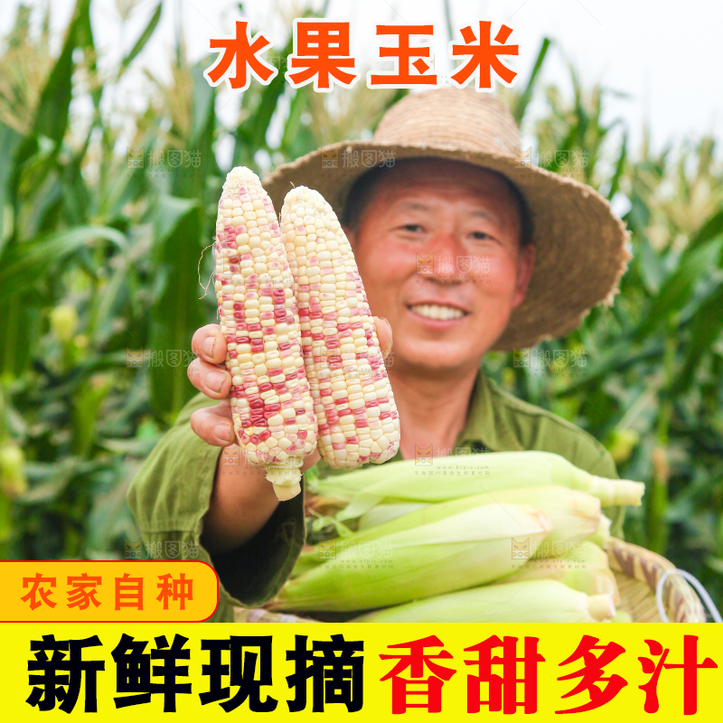 手上拿着甜糯玉米