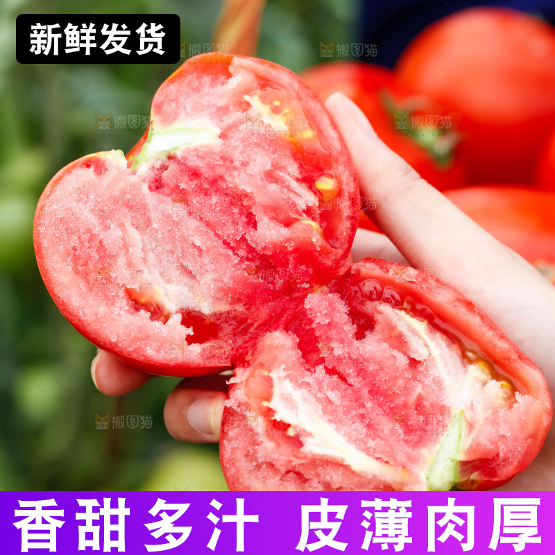 手上拿着沙瓤西红柿