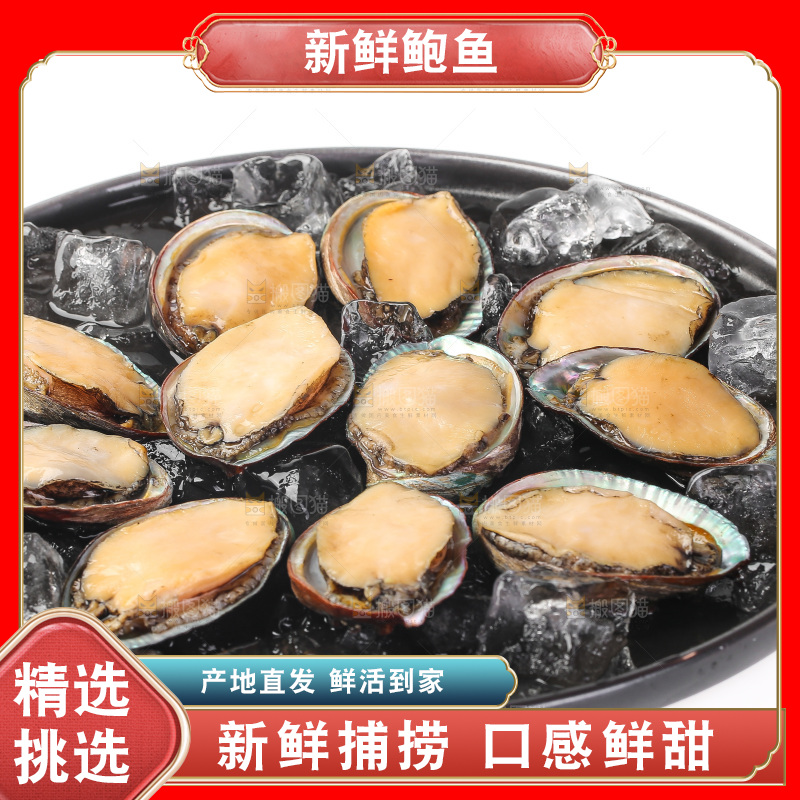 白底上放着一盘鲍鱼