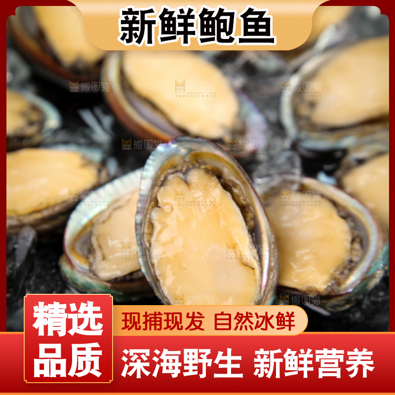 黑底上放着鲍鱼