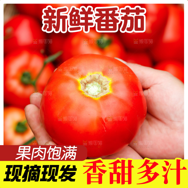 手上拿着西红柿
