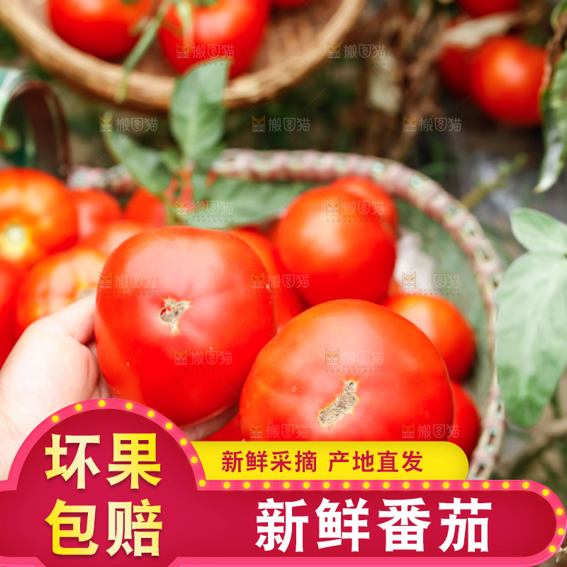 手上拿着西红柿