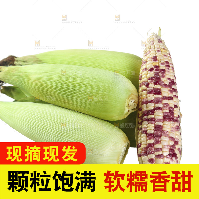白底上放着一堆花糯玉米