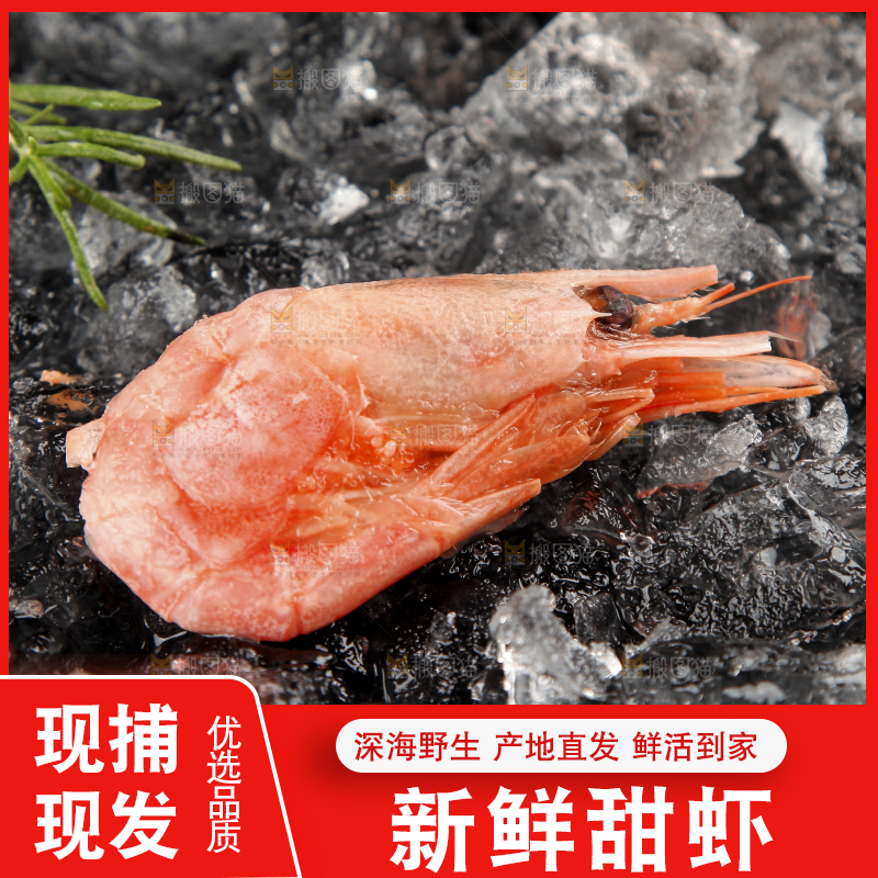 黑底上放着北极甜虾