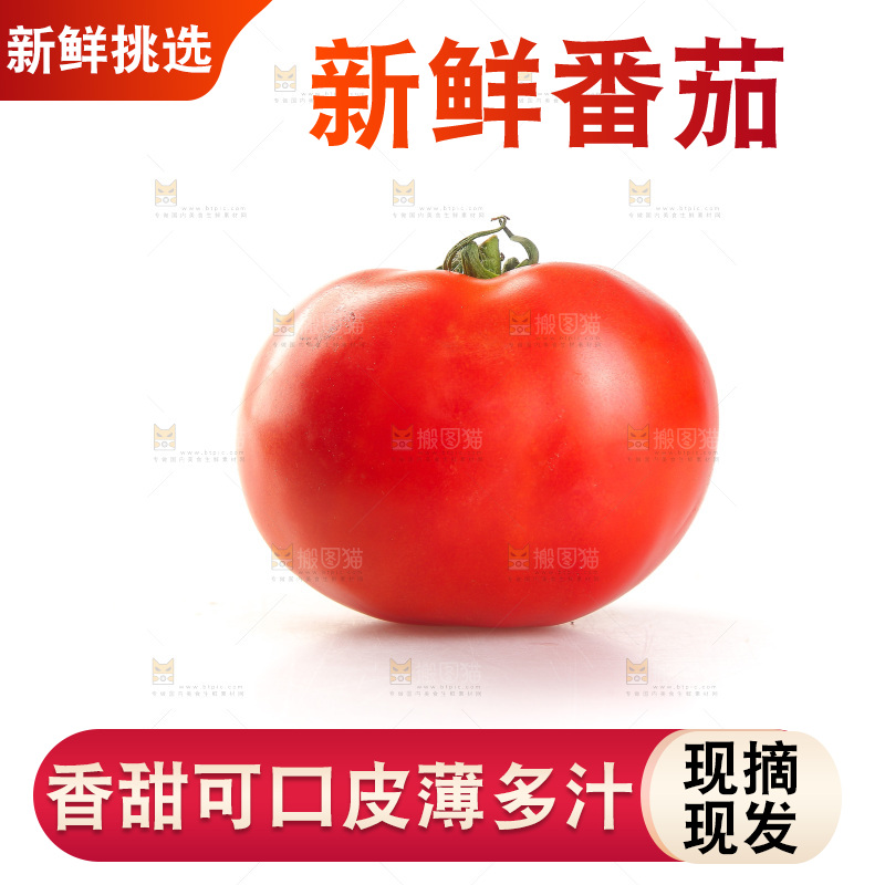 白底上放着西红柿