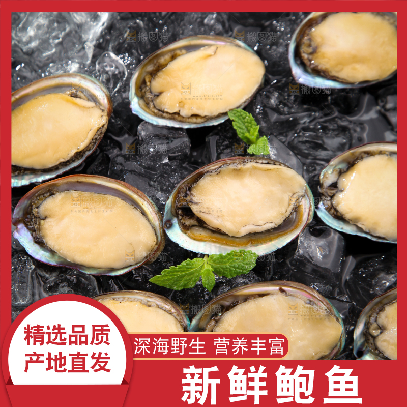 黑底上放着鲍鱼