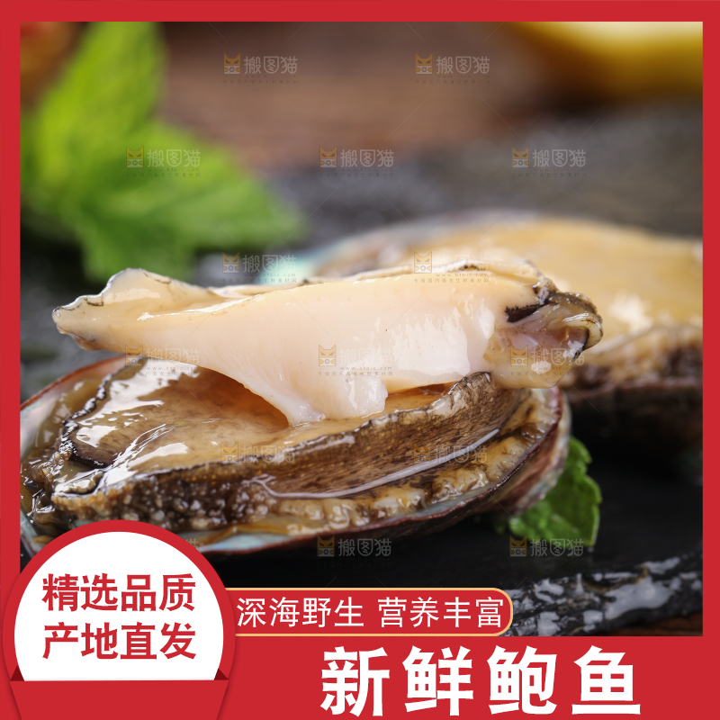黑底上放着鲍鱼