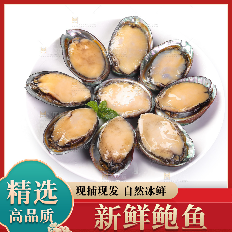 白底上放着一盘鲍鱼