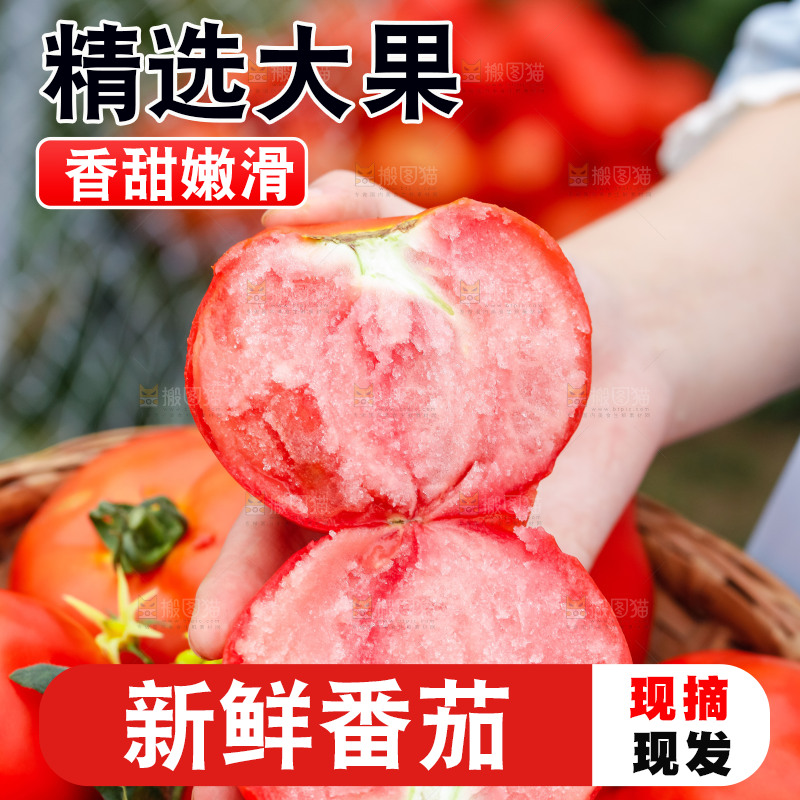 手上拿着沙瓤西红柿
