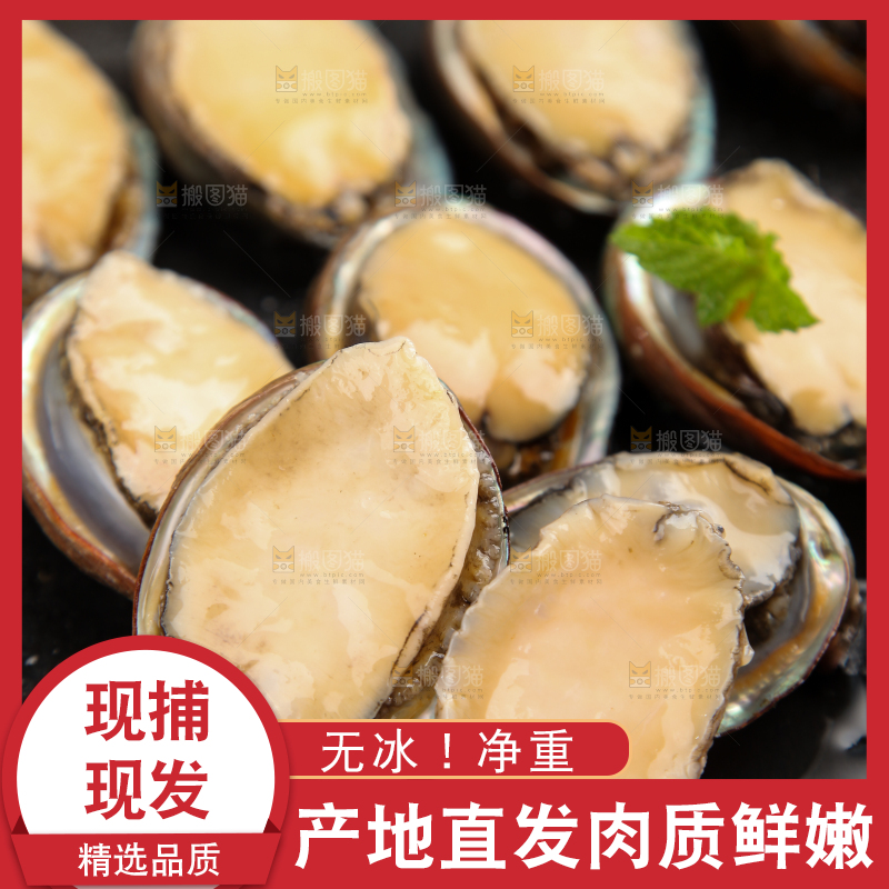 黑板上放着鲍鱼