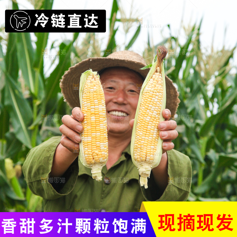 手上拿着水果玉米