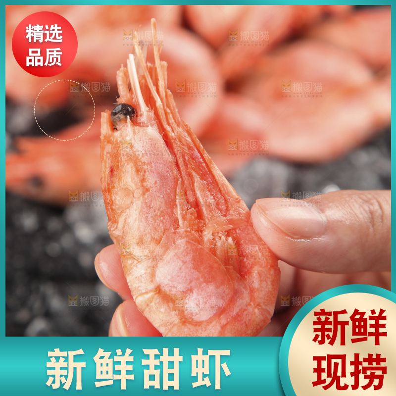 手上拿着北极甜虾