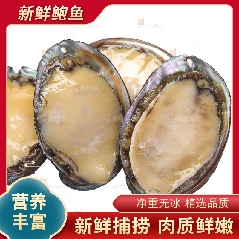 白底上放着一堆鲍鱼