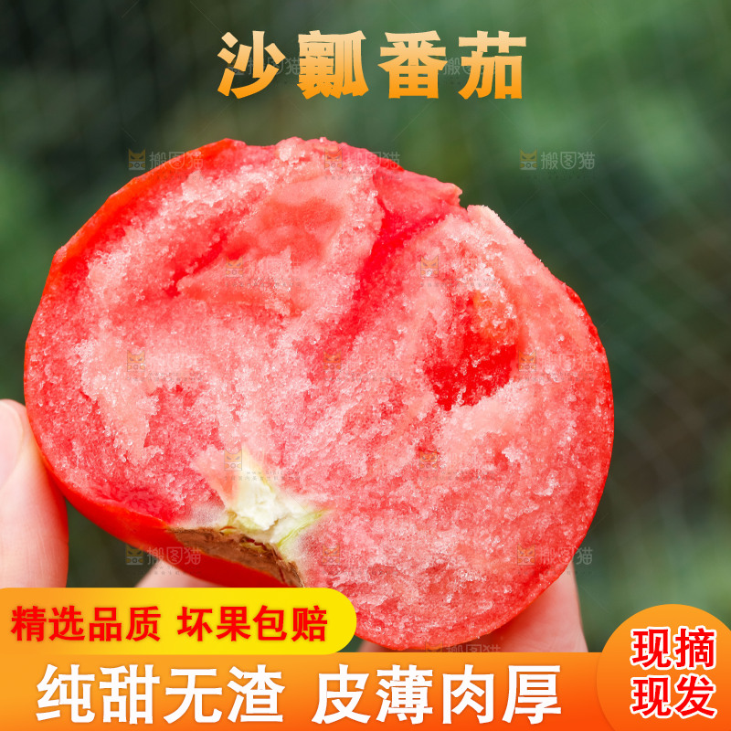 手拿着普罗旺斯西红柿