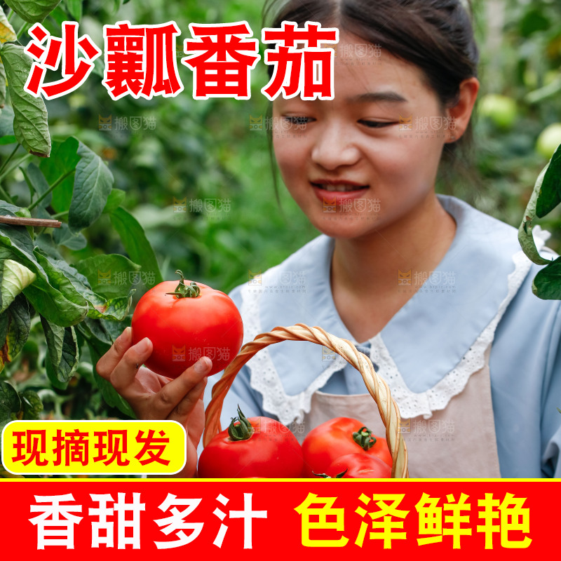 女孩手上拿着沙瓤西红柿