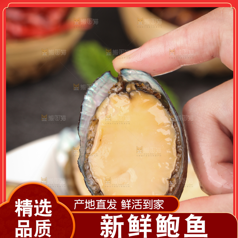 手上拿着鲍鱼