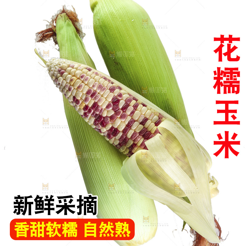 白底上放着花糯玉米