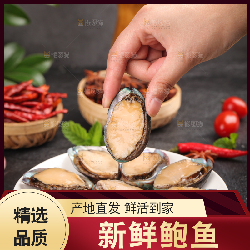 手上拿着鲍鱼