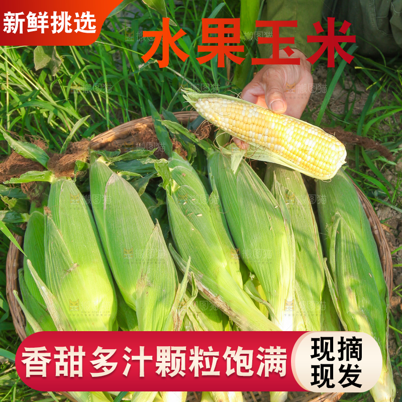 手上拿着糯玉米