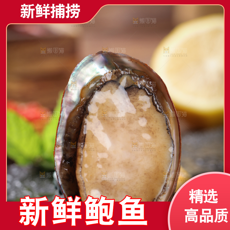 黑底上放着鲍鱼