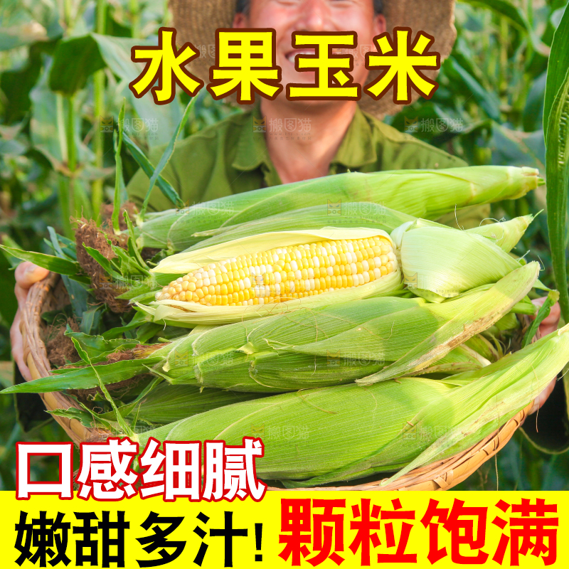 农民抱着一筐玉米
