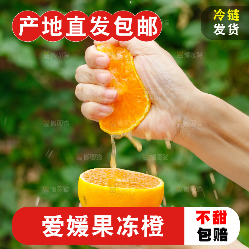 爆汁的爱媛果冻橙