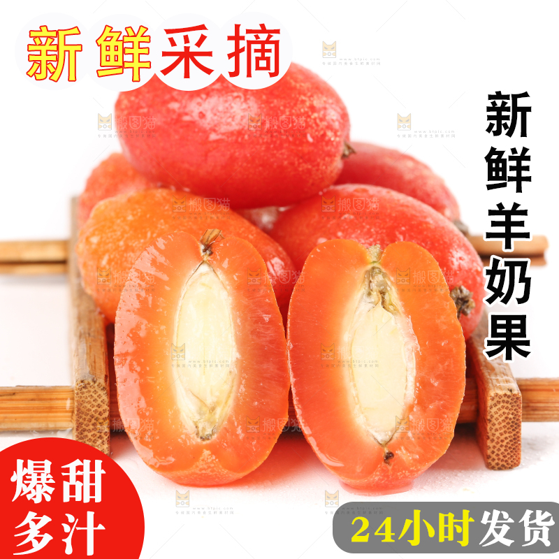 白底上的一盘羊奶果