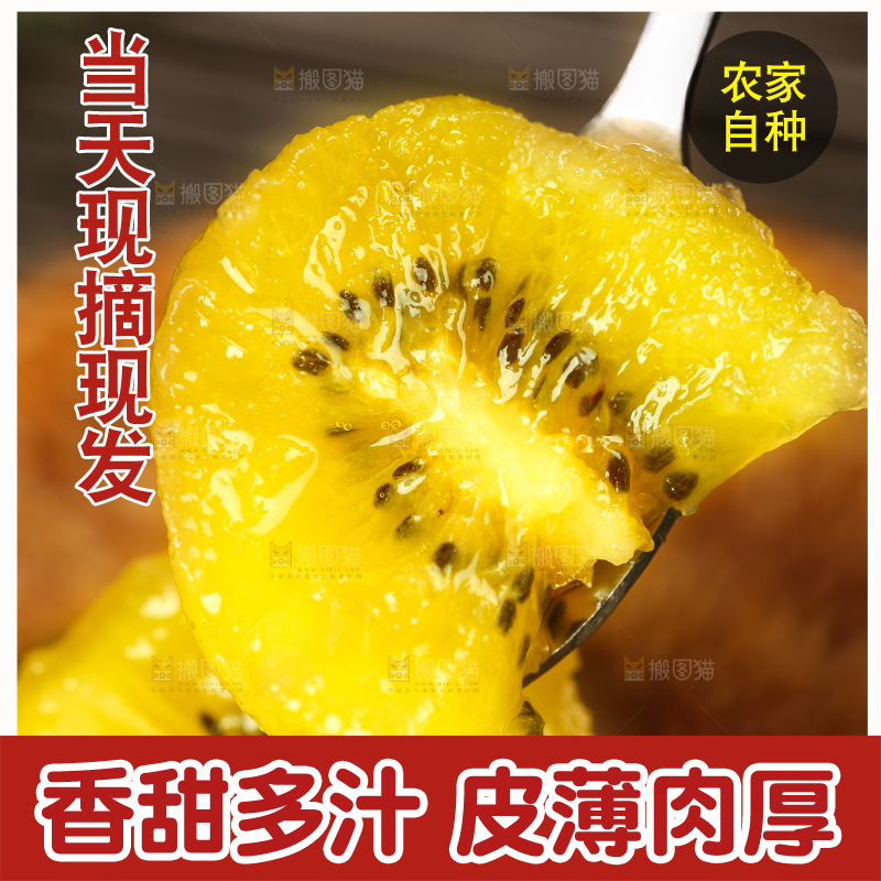 勺子上的黄心猕猴桃果肉