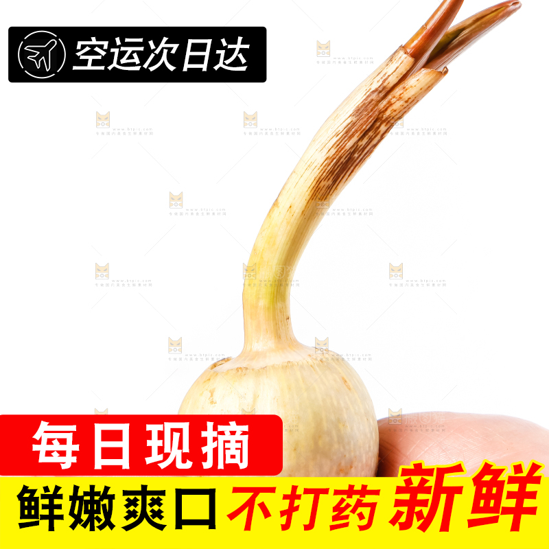 手上放着新鲜白茨菇