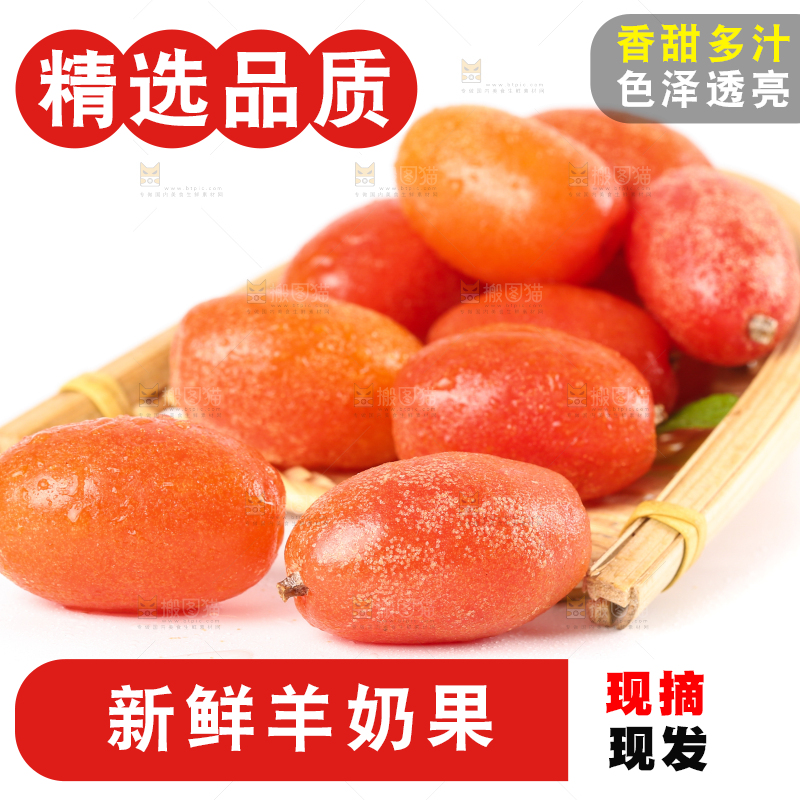 白底上的一篮羊奶果