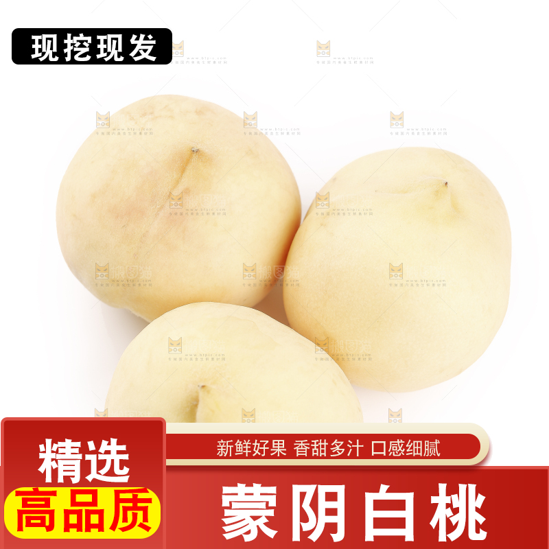 白底上的蒙阴白桃