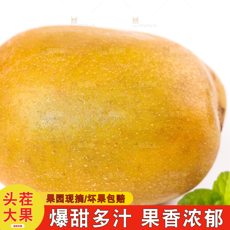 白底上的新鲜猕猴桃