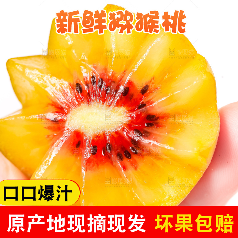 手拿着红心猕猴桃