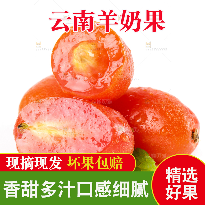 白底上的云南羊奶果