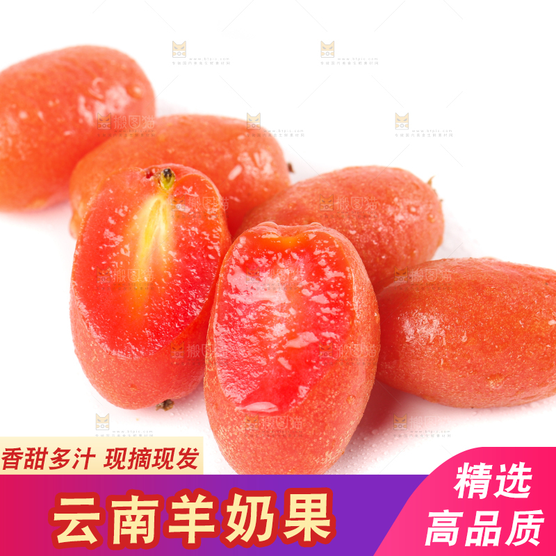白底上的云南羊奶果