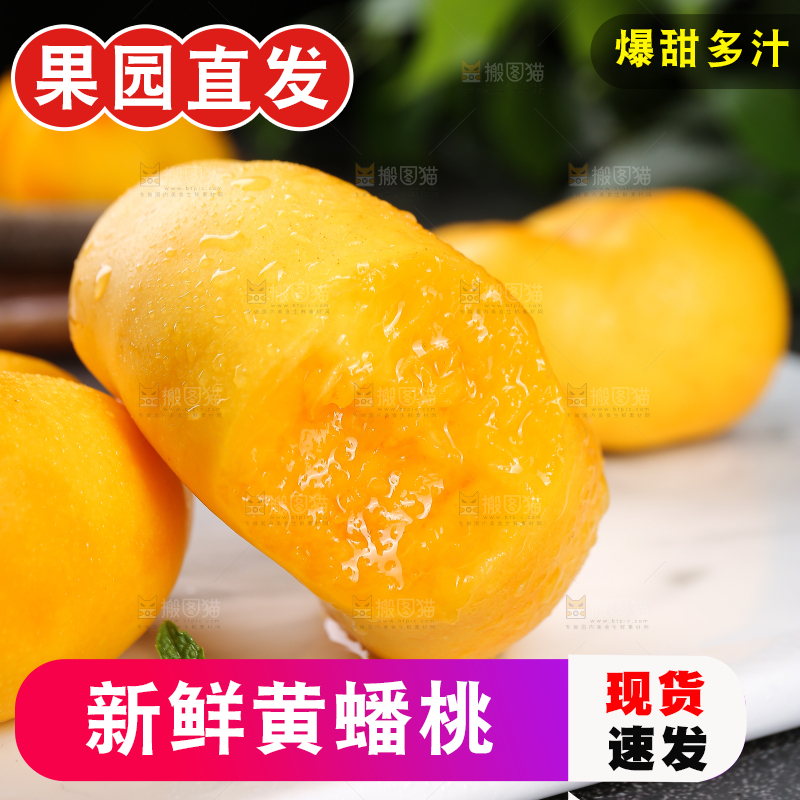 白石板上的黄蟠桃