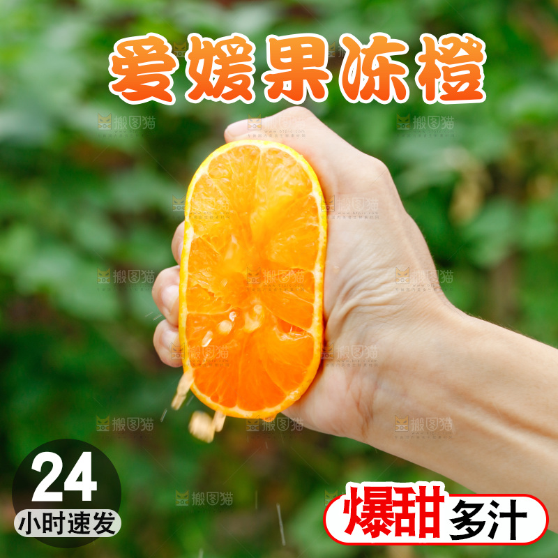 爆汁的爱媛果冻橙