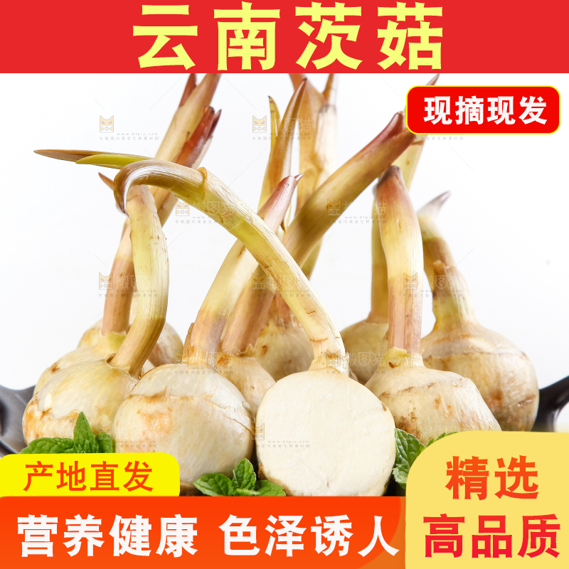 白底上的一盘云南茨菇