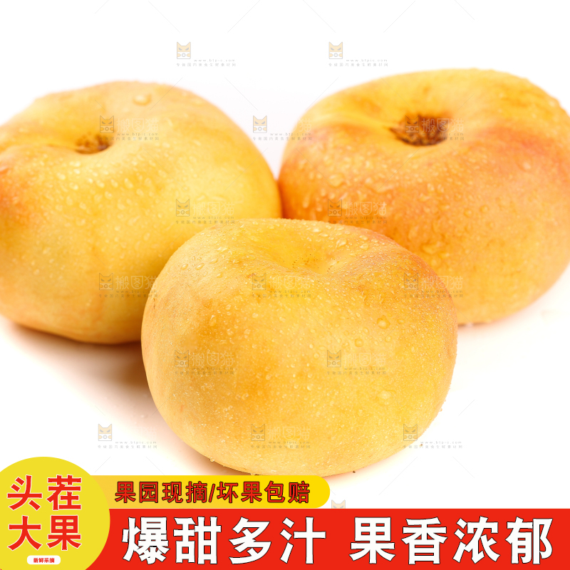 白底上的黄金油蟠桃
