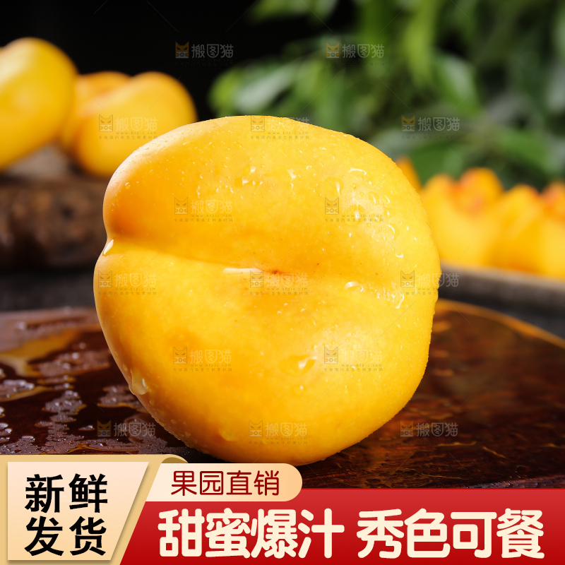 深底上的黄蟠桃