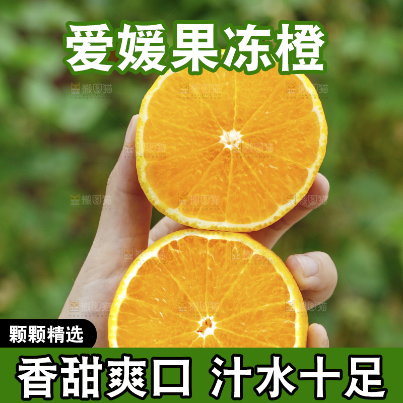 两个切面的爱媛