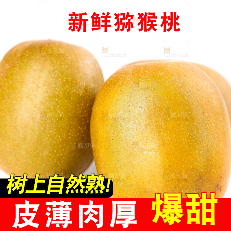 白底上的新鲜猕猴桃