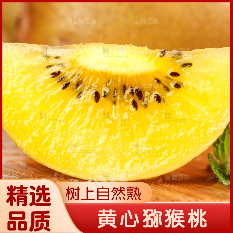 木底上新鲜黄心猕猴桃