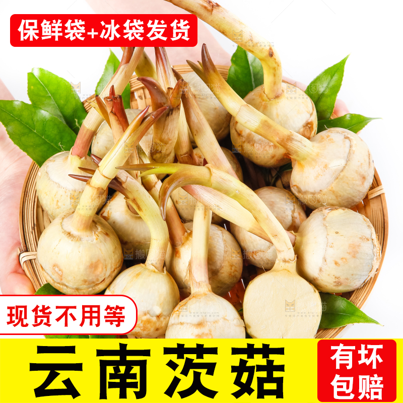 手端着一盘白茨菇
