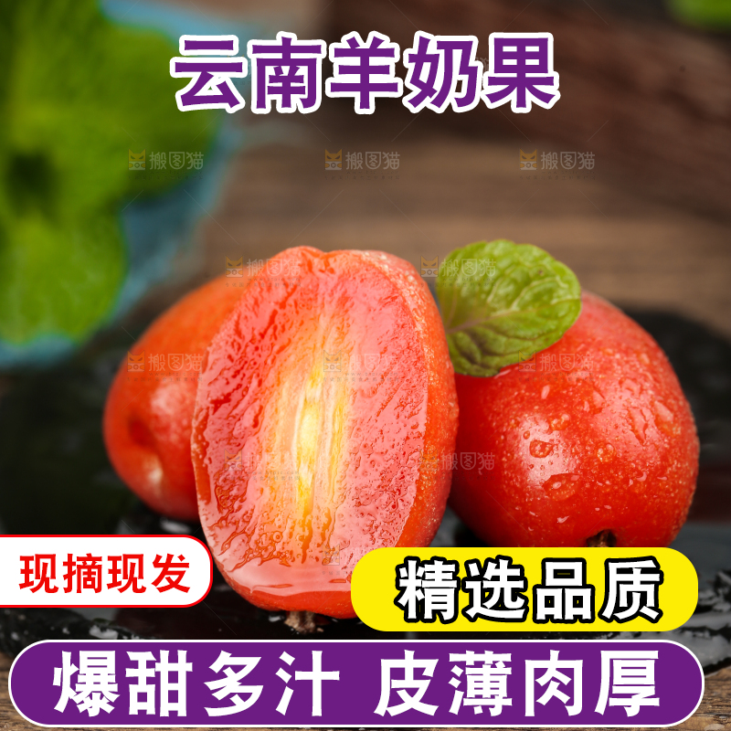 黑石板上的羊奶果