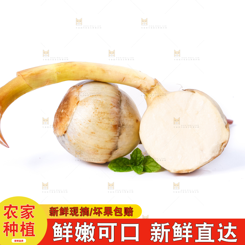 白底上的新鲜茨菇